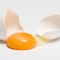 egg yolk