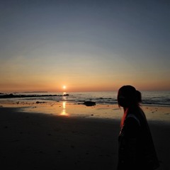 蜘蛛