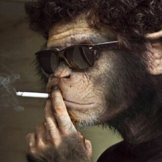 Stoned Ape Cyborg