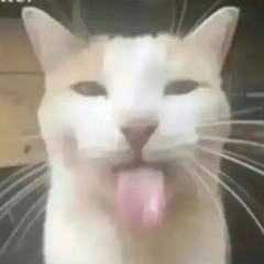 bisma