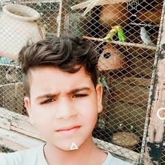 Meerak Gul