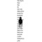 UnidentifiedHuman