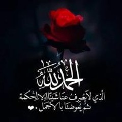 Noha Mohamed