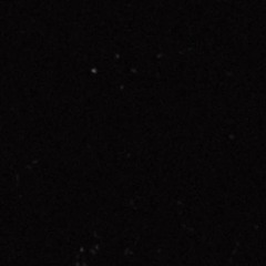 𝘾 𝙇 𝙊 𝙕 𝙑 𝙍 𝙀: ARCHIVE C