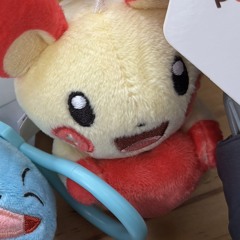 안이
