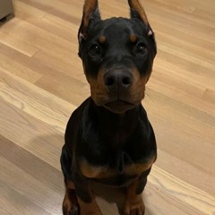 Buckley
