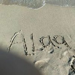 Alaa Farhoud