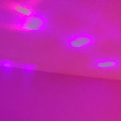 pinkundpunkpunkt.