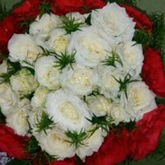 Azza Ali