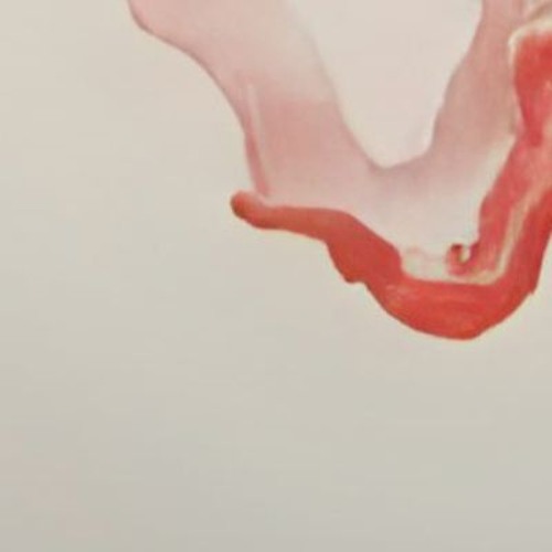 FVBBR0 X BAU - MIDNIGHT SONATA