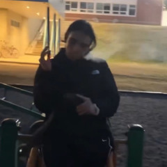 zolt
