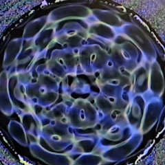 UBV