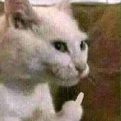 somewhere between fuckin’ sad & sad fuckin’