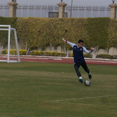 Mohamed Sweillam