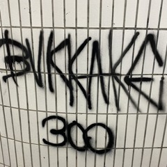 bvkkake300