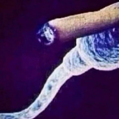 рысь и форель - эм ай эмаль