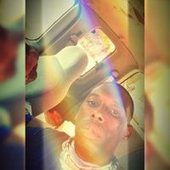 highriskbee3
