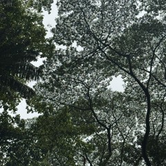 Tomoki Iguro