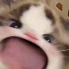나봄