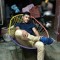 Donaldo Alor