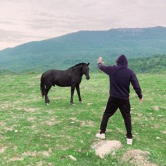 Антон Колесников РЕБУС