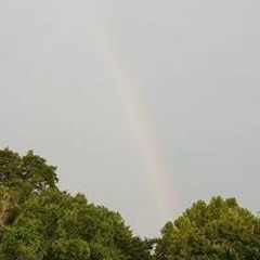 Shelly Brooke McDonald