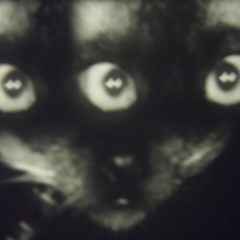 8-bi† 9oblin