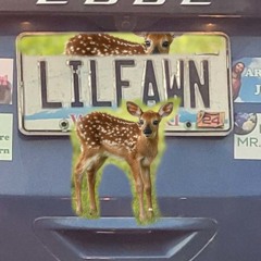 Lil Fawn
