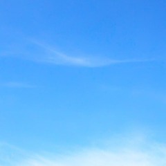 Perfect Day