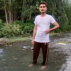 Touqeer Bacha