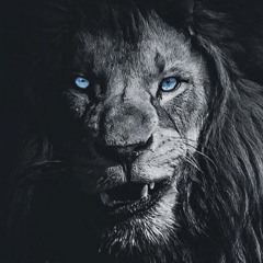 Jarand Tillung Eikenes