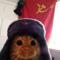 Commie Cat