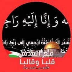 عمرو النوبي محمد