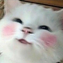 meow