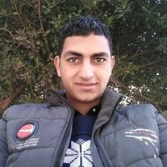 ابراهيم الجندى
