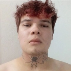 blacksadbear
