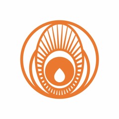 The Sun Burns Bright