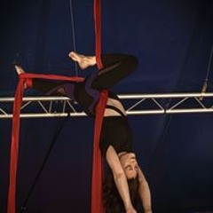 Priscille Cdln