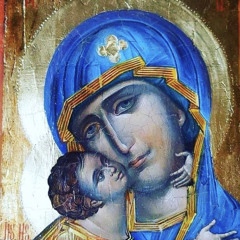 mariam-dawoud-331101216