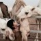 Ghada