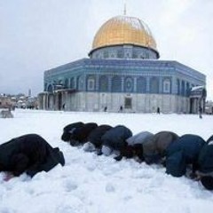 مقاطع قران