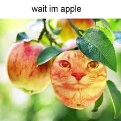 ☕ ⏤͟͟͞☆😾 ✧
