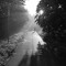 subt_tle