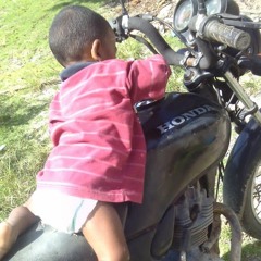 cachorro