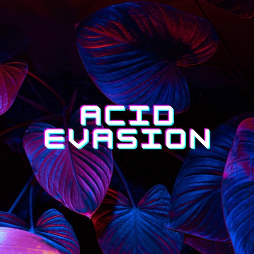 ACID EVASION’s avatar