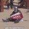 A_Very_Sad_Crusader