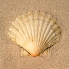 CJH7