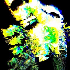 ORCHID
