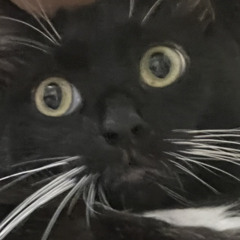 Sabrina