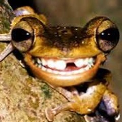 A random frog
